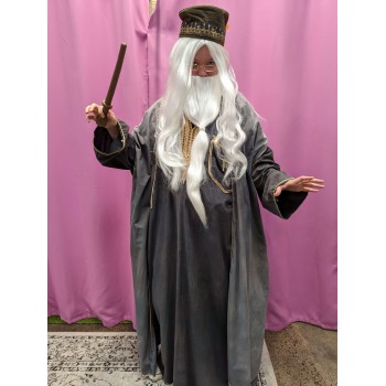 Professor Dumbledore ADULT HIRE